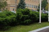 Нежилое помещение по адресу: Московская обл., г. Егорьевск, ул. Карла Маркса, д. 69